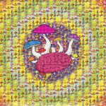 buy LSD-25 Tabs Mushroom Brain online in Sweden